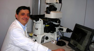 Autoimmunità e diabete di tipo 1, studio internazionale dimostra relazione. Nel team di ricercatori anche il professor Dotta dell’AOU Senese