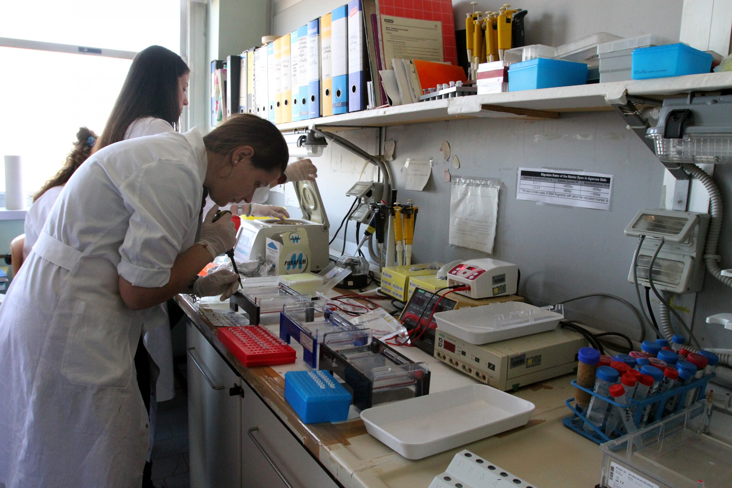 laboratorioMalattieNeurometaboliche federico