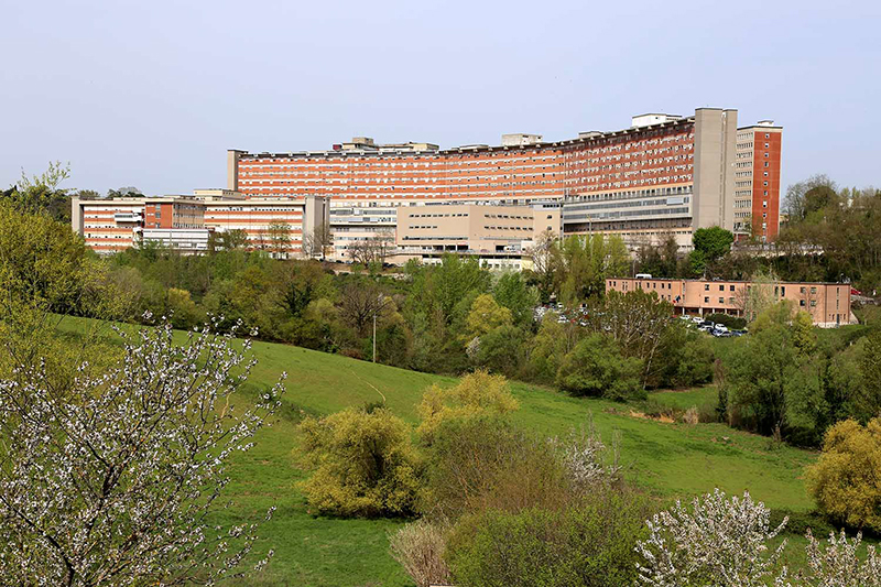 Siena ospita il SIVEC: “Siena Vascular and Endovascular Course”. All’hotel Four Points, dall’8 al 9 settembre